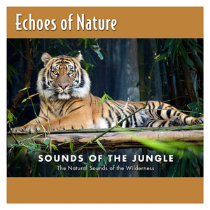 🔯黄🔯色🔯视🔯频在线播放
